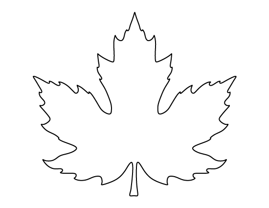 Leaf Pattern