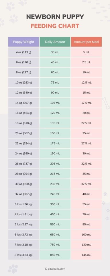 Simple Newborn Puppy Feeding Chart: Bottle Feeding Chart For Pups ...