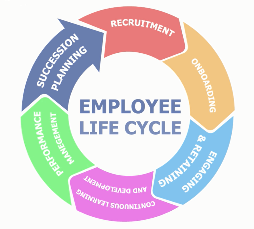 Stages Of Employee Life Cycle Life Cycles Life Cycle Management Images