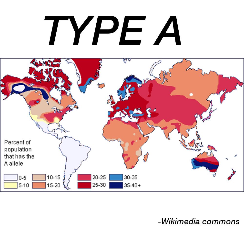 Most common blood type - riskloki