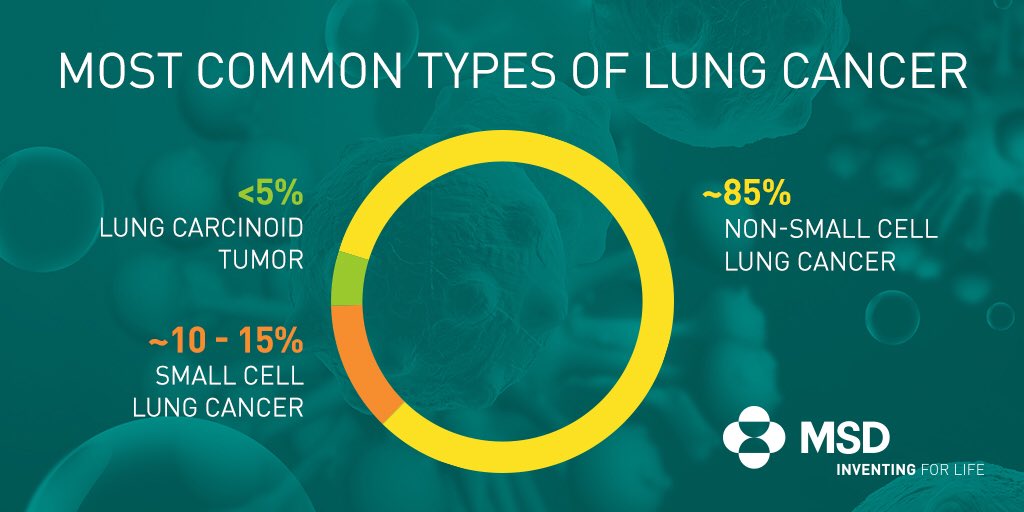 Most Common Types Of Lung Cancer - CancerWalls