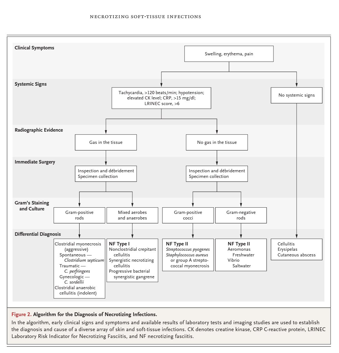 Gram Negative Rods Algorithm