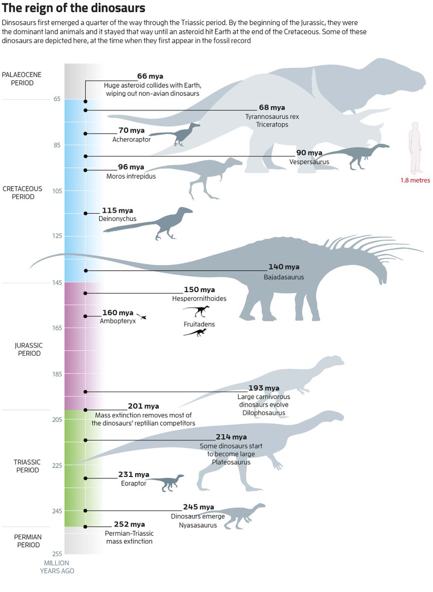 Dinosaurs Extinction Infographic Diagram Showing Paleozoic, 53% OFF