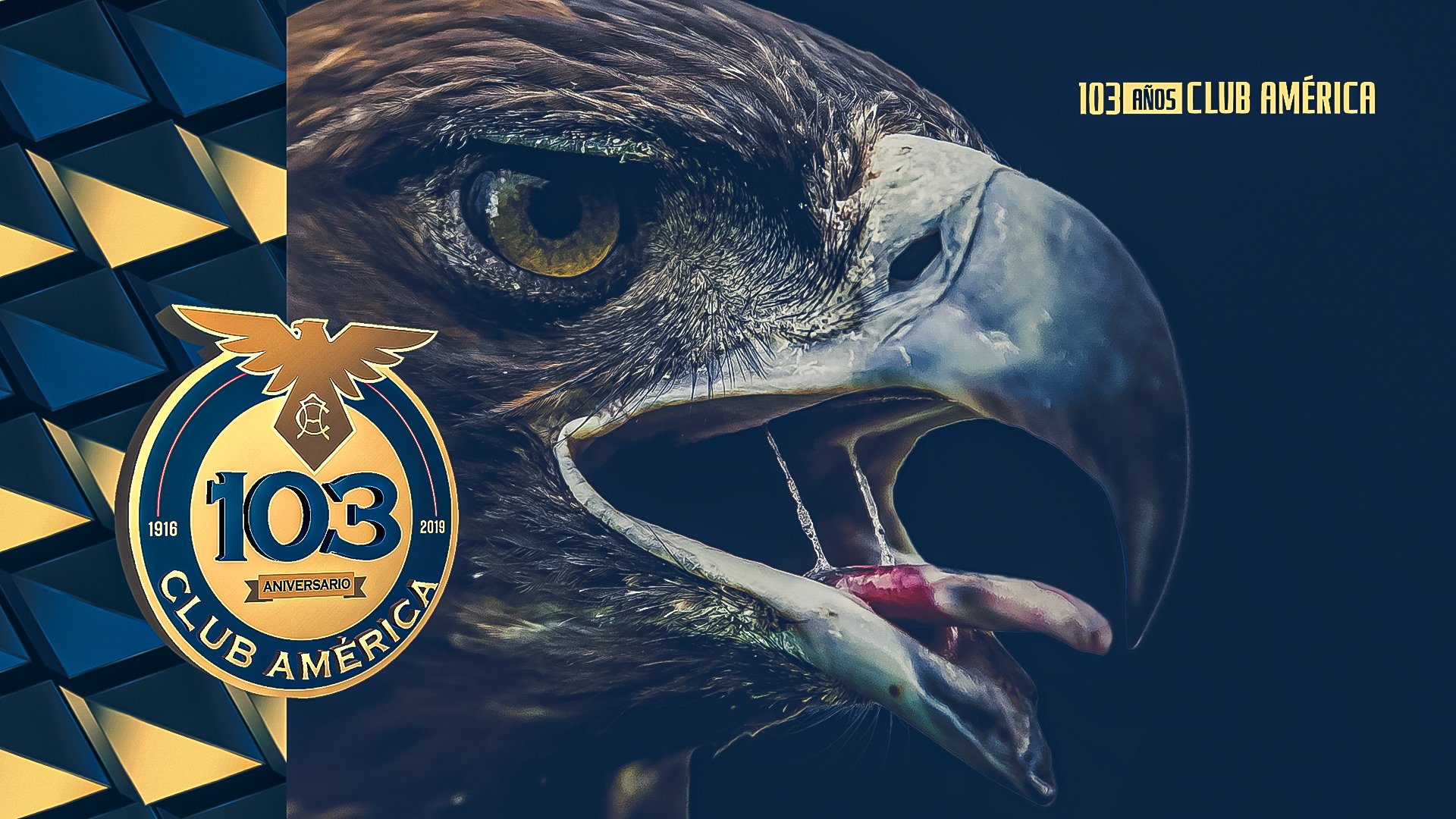 Club América EN on Twitter: 