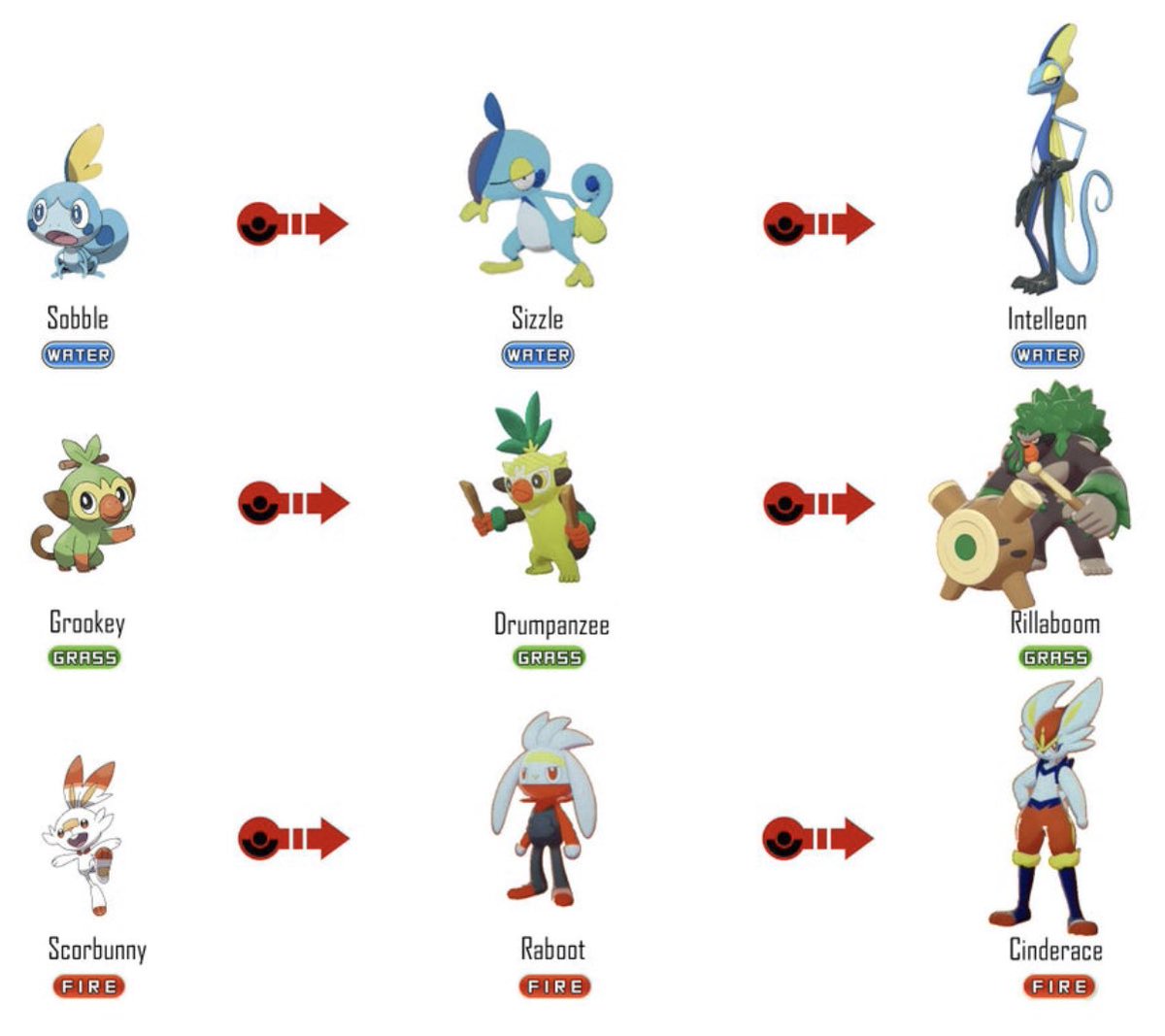 Pokemon Images Fully Evolved Pokemon Gen 8 Starter Ev - vrogue.co