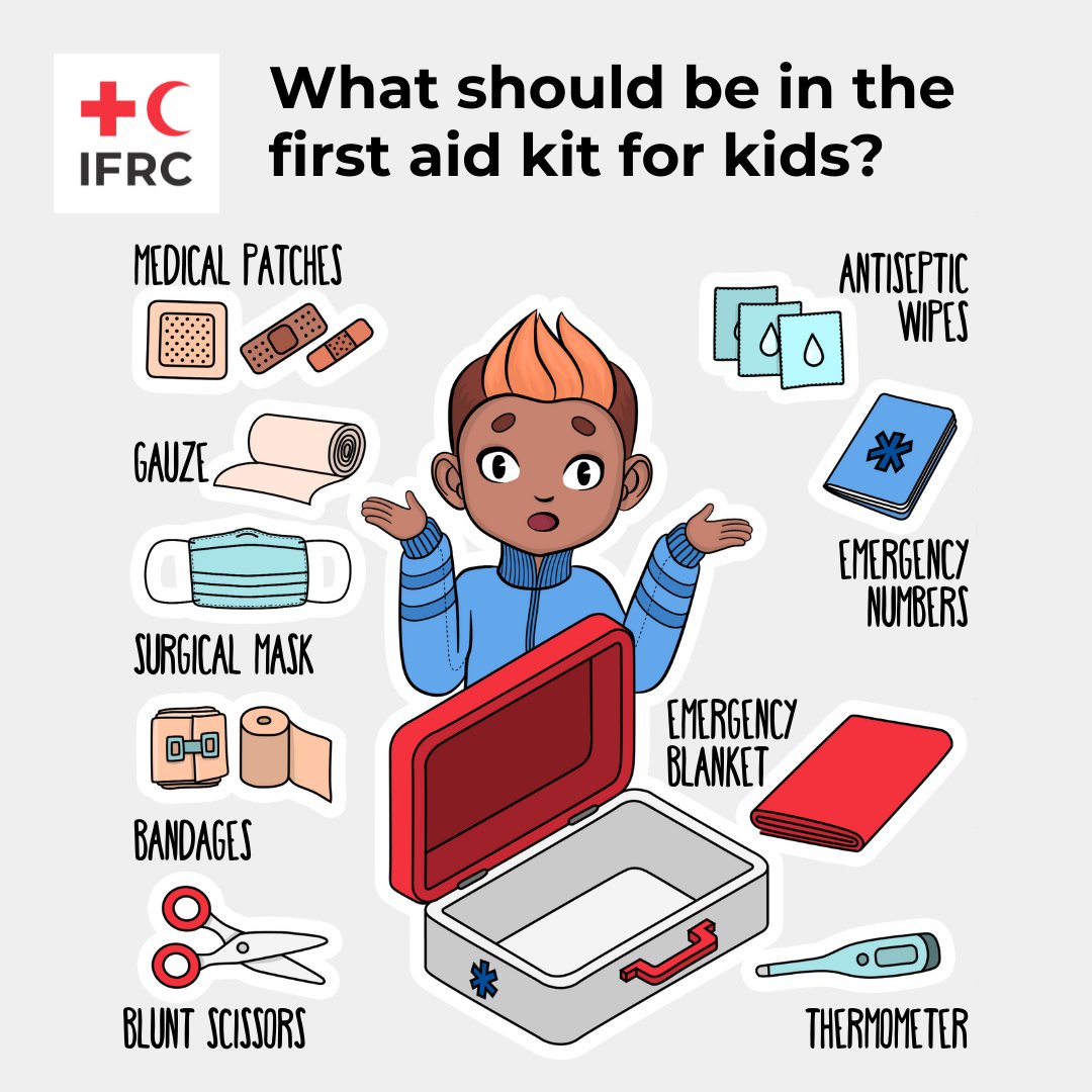 20 Items In A First Aid Kit With Pictures Online Cheap ...