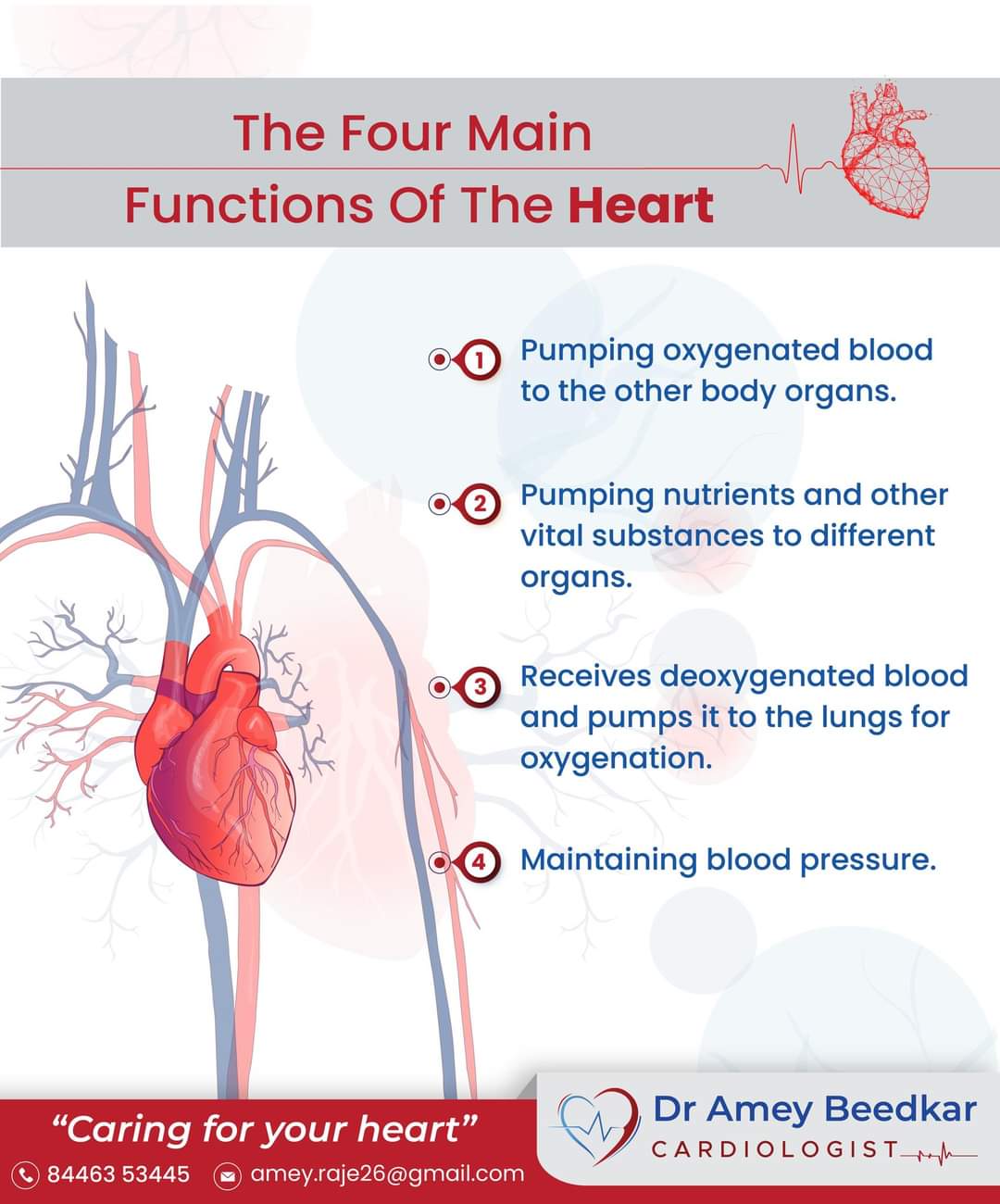 Understanding Your Heart And How It Functions Cardiology, 48% OFF