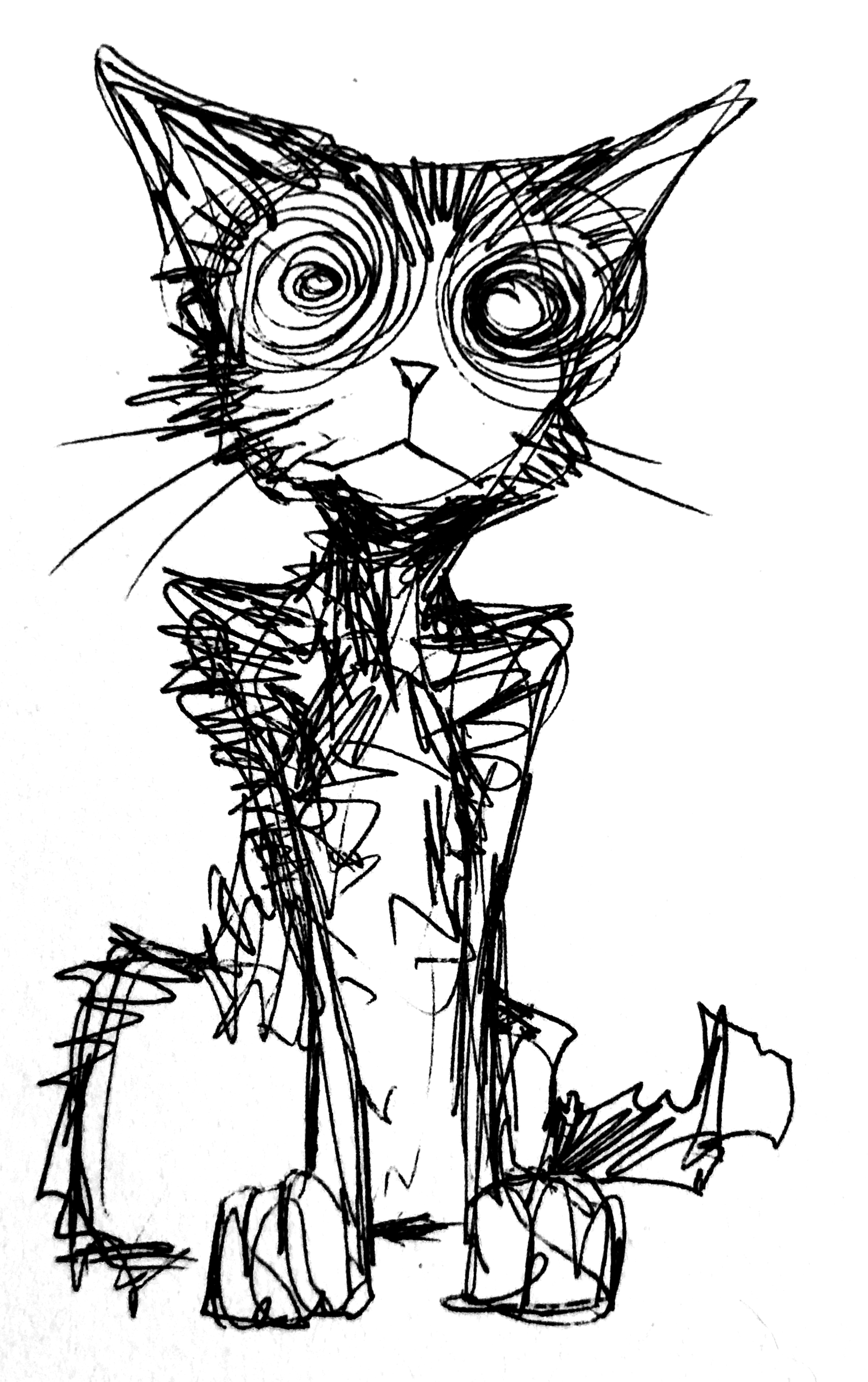 Coraline Cat Drawing