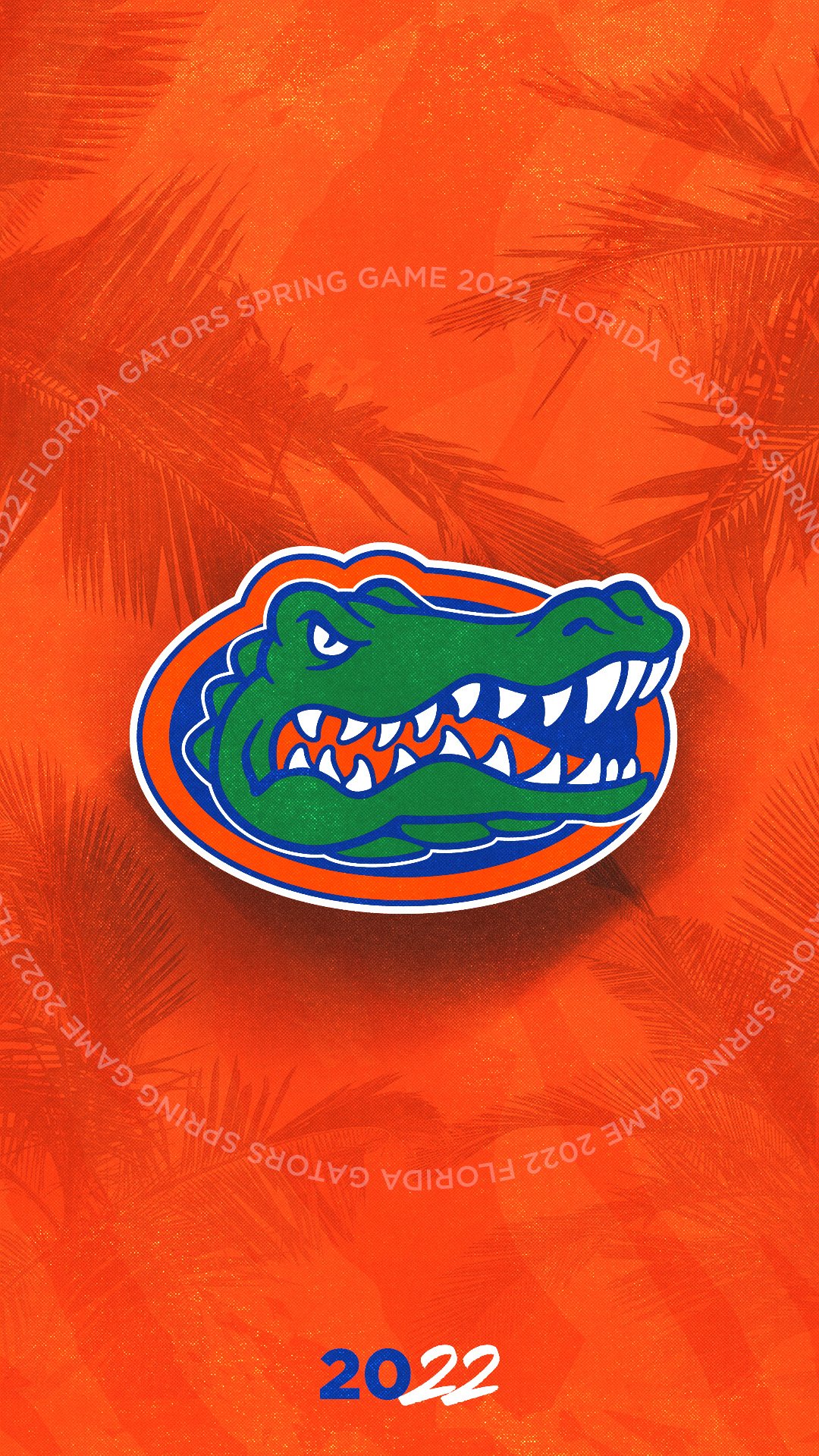 Florida Gators American football team emblem silk flag orangeblue silk  texture HD wallpaper  Peakpx