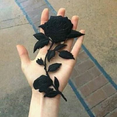 Una Thal Flor Negra De La Noche auf Twitter: „/H7KwxWikwg“ /  Twitter