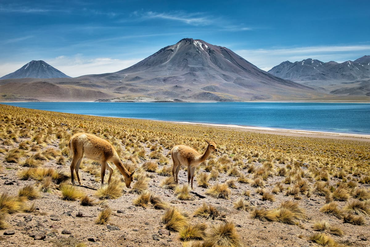 Atacama Region