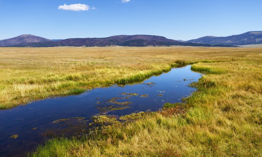 Valles Caldera National Preserve, New Mexico