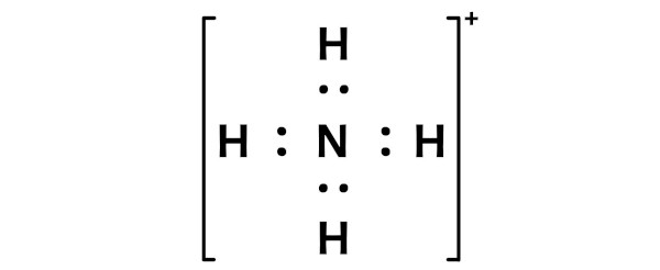 NH4+ step 7