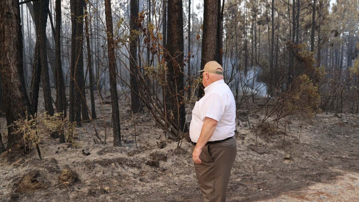 Tiger Island Fire Ruled Arson