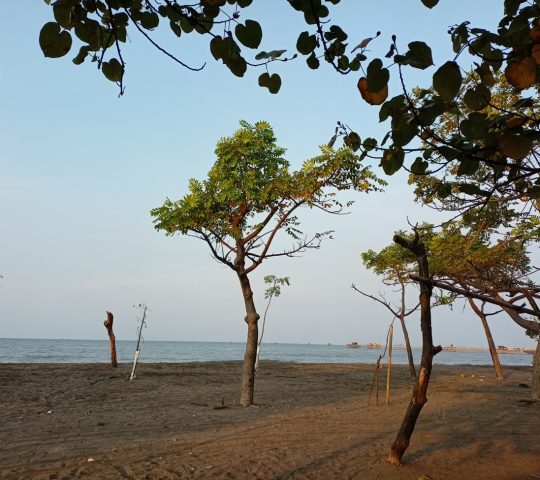 Pantai Tanjung Pasir