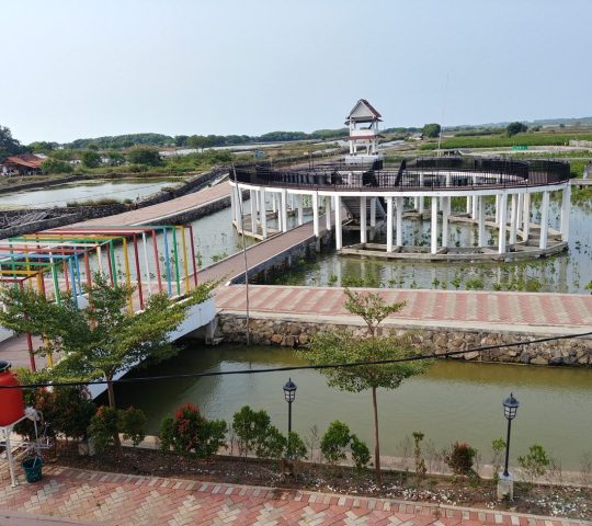 Taman Mangrove Ketapang