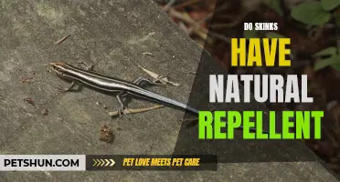 Do Skinks Possess Natural Repellents?