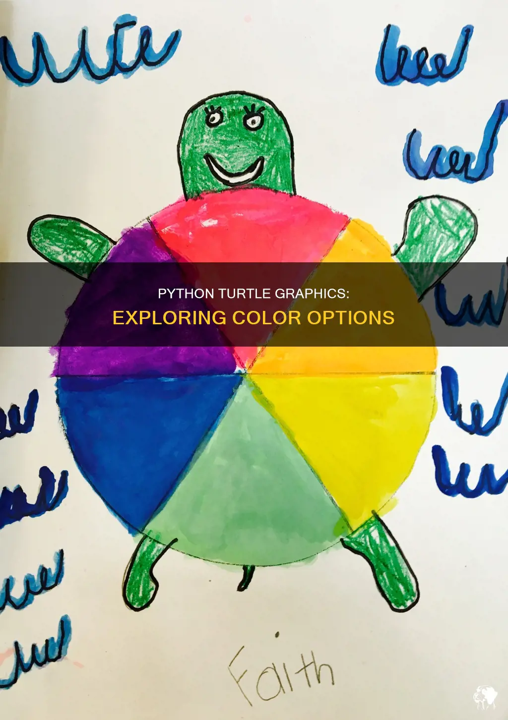 Python Turtle Graphics: Exploring Color Options | PetShun