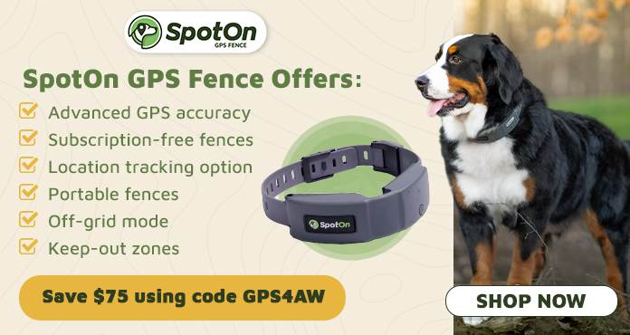 On the Fence About a GPS Dog Fence? Here Are 4 Ways to Make Sure Your GPS Works for You and Your Dog