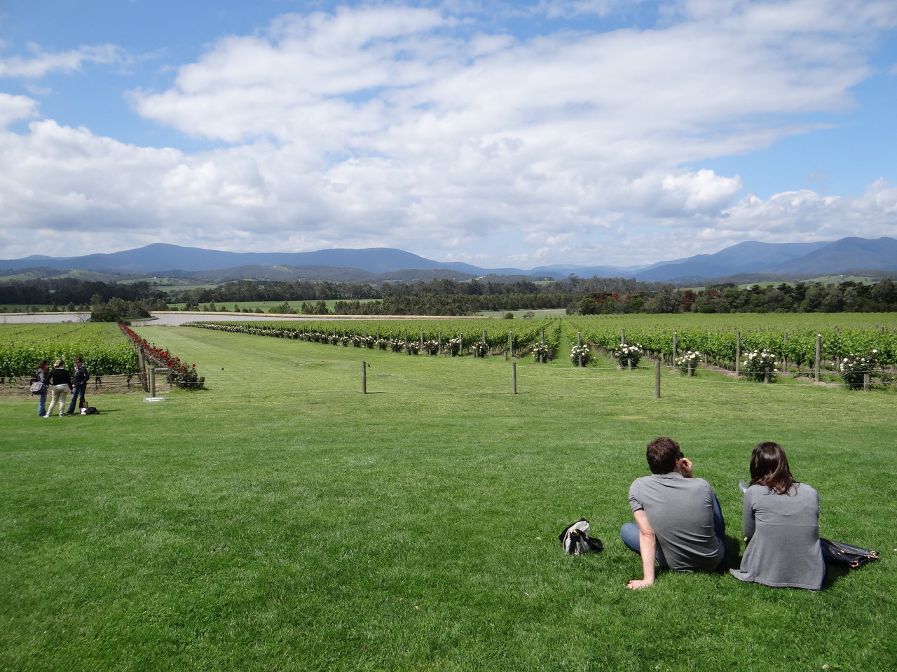 Chandon Yarra Valley couple