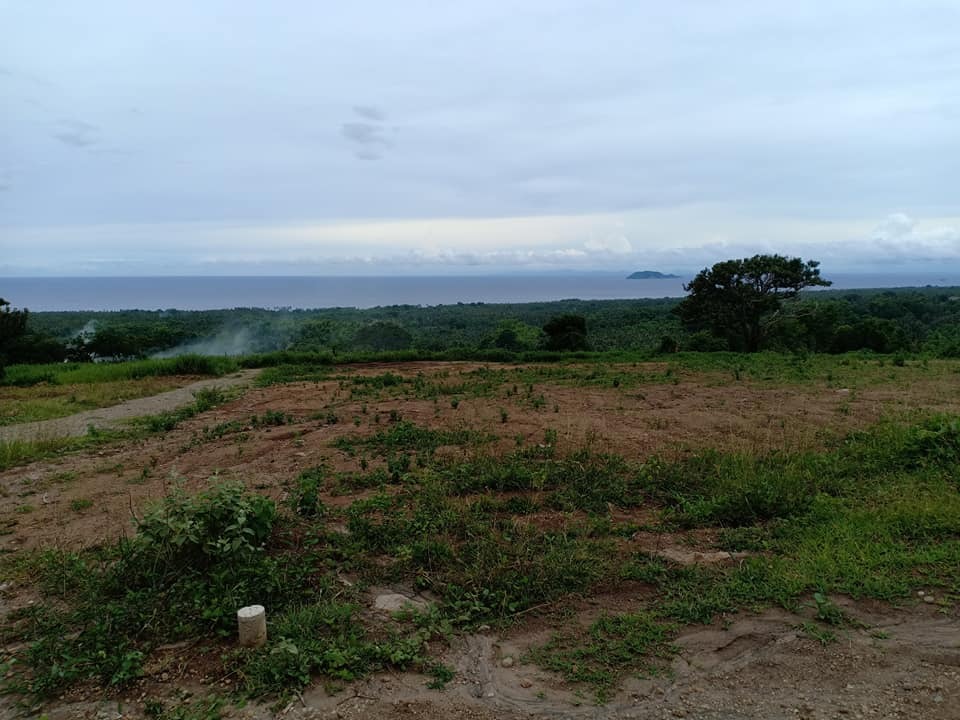 Dauin Ocean View Lots For Sale ID#14638 - PhilX-Pat Real Estate