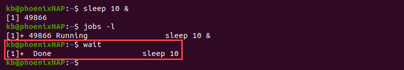 Terminal output of wait command done process