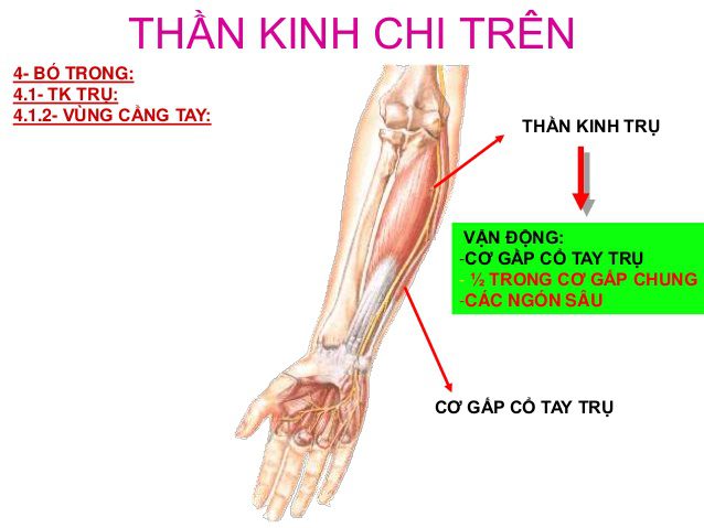 Vật lý trị liệu tổn thương thần kinh trụ