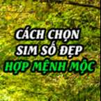 'Tiền vào như nước' nhờ chọn sim số đẹp hợp mệnh MỘC