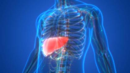 Scientists Identify New Liver And Kidney Disease - UrduPoint