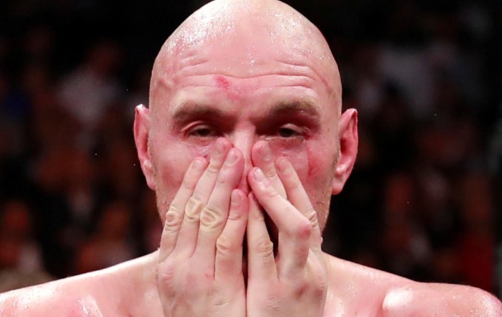 Wilder Fury Fight