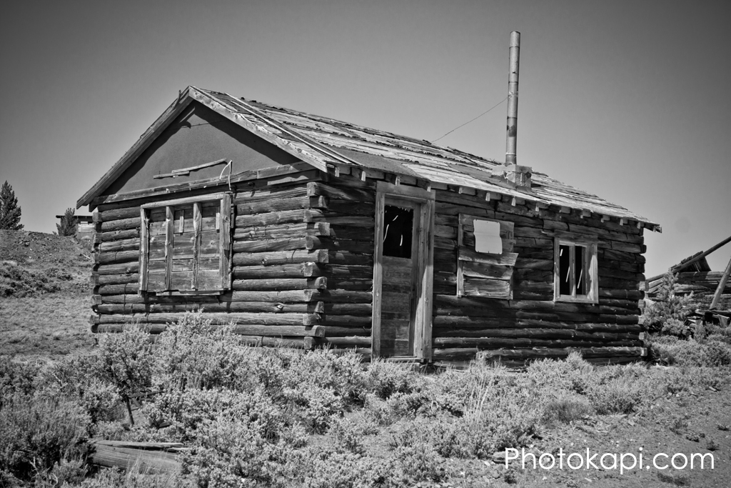 Log Cabin Home