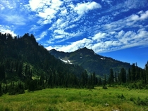 Home Sweet Home Olympic National Park WA 