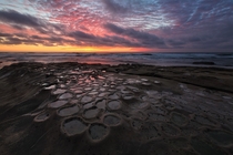 Hospitals reef in La Jolla Cove 