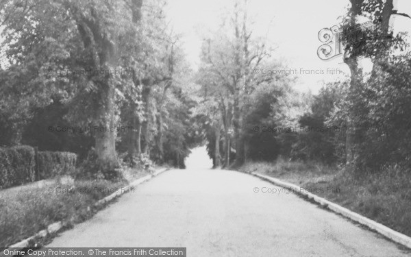 Photo of Barnwood, The Avenue c.1955