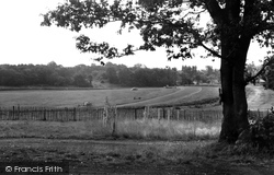 Brands Hatch, c1960