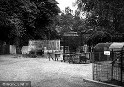 Wellingborough, the Zoo Park c1950