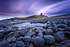 Dunstanburgh Morning 03