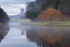 Abbey Through the Mist