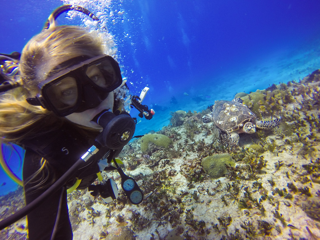 Playa Del Carmen Diving 