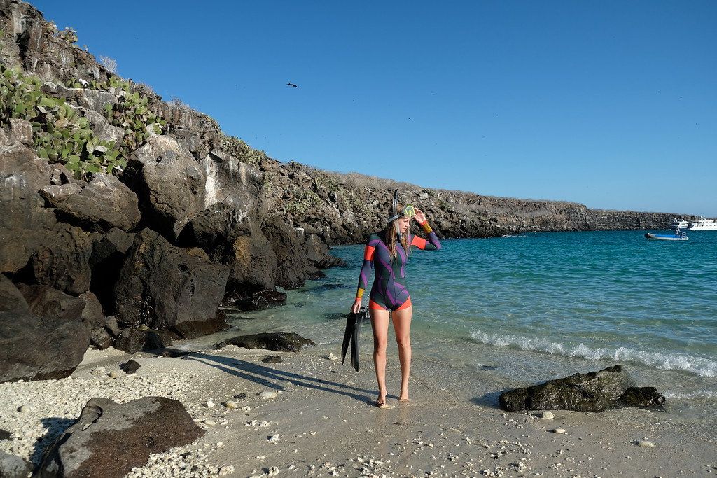 The Galapagos Diving 