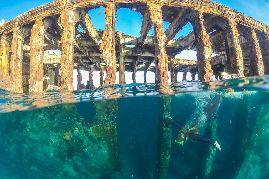 Bimini Islands Diving 