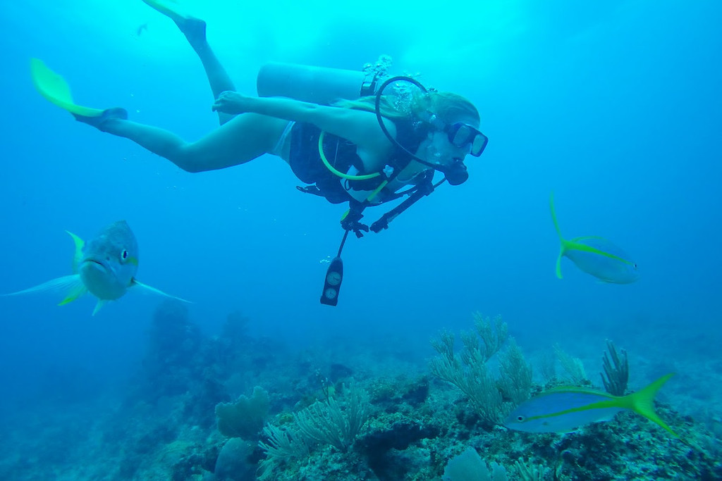 Dominican Republic Diving 