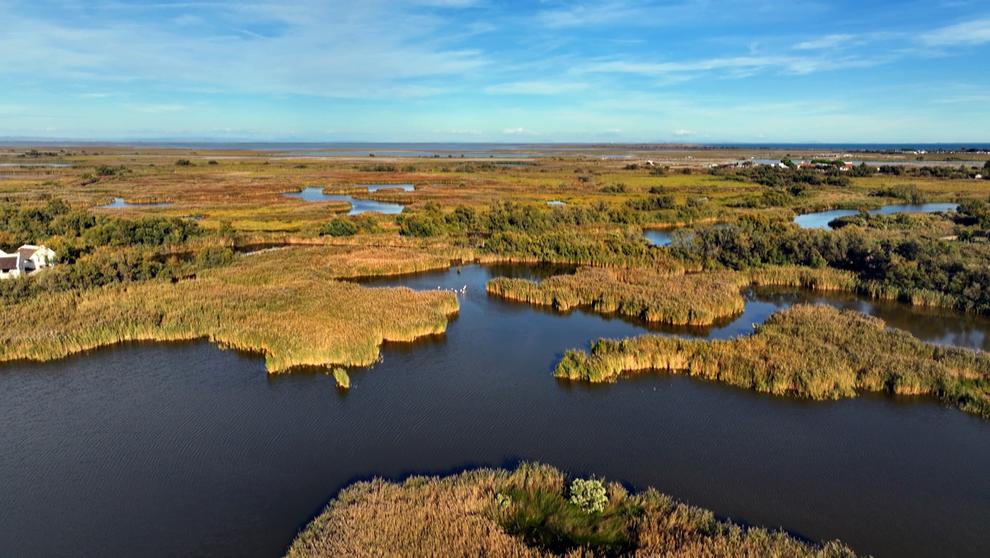 La Camargue, la concurrente de la Côte d’Azur