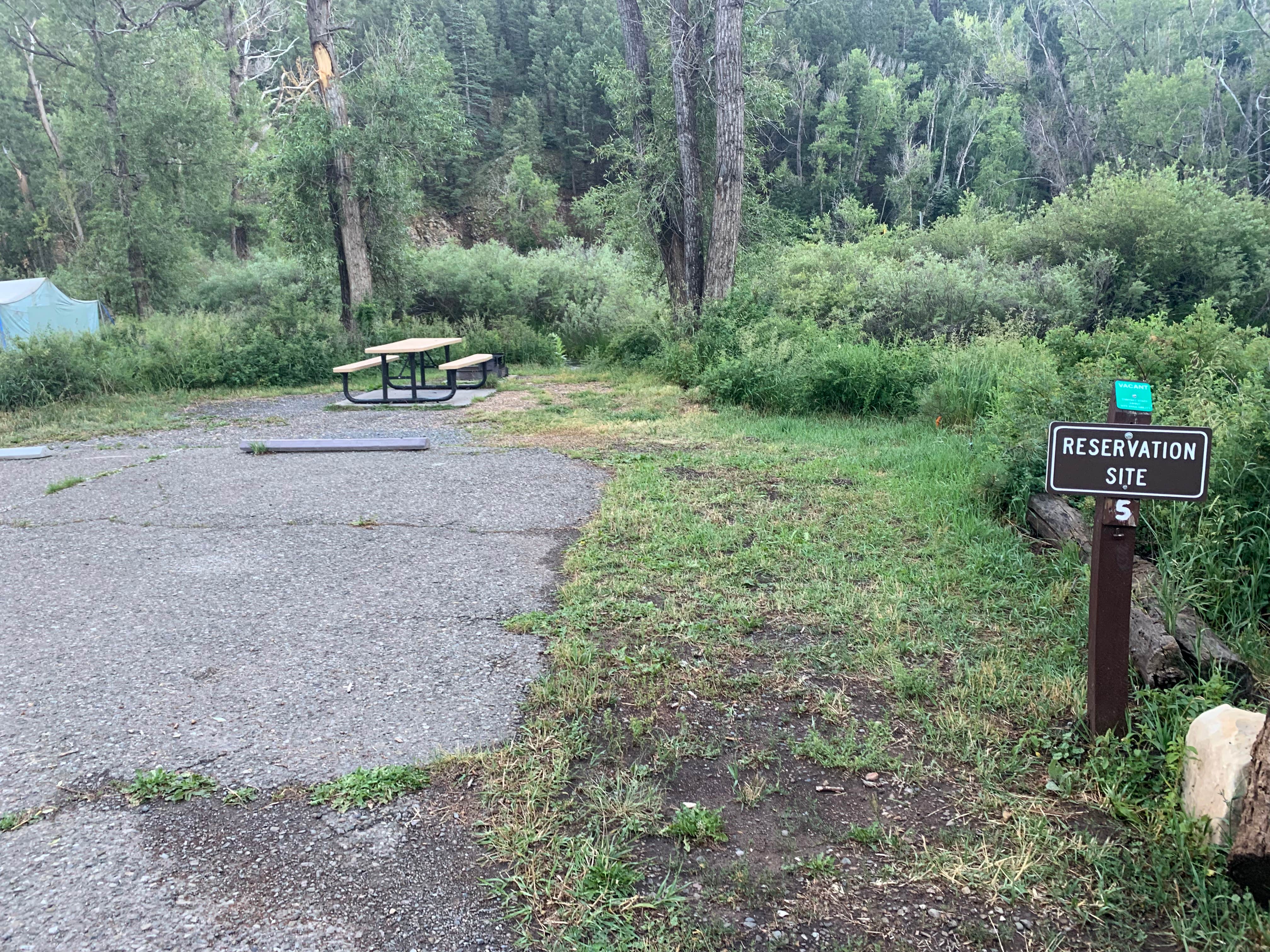 Camper submitted image from Tolby Campground — Cimarron Canyon State Park - 3