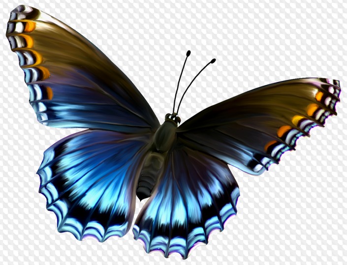 Colección de mariposa PNG con fondo transparente, muchas mariposas PNG