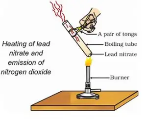 Activity 1.6 Class 10 Science - Lead Nitrate Experiment