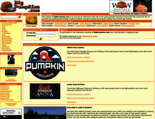 bigpumpkins.com screenshot