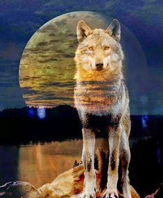 Fantasy Wolf Picture - Image Abyss