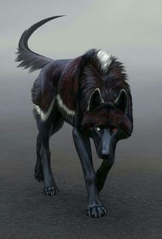 Fantasy Wolf Picture - Image Abyss