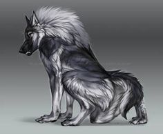 Fantasy Wolf Picture - Image Abyss